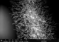 Biocomma mit Glasfasermaterial